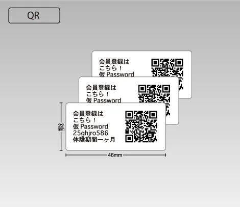 QR ナンバリングシール 46×22 アート（文字表示あり）